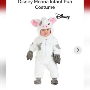 Disney Moana Pua Baby Costume